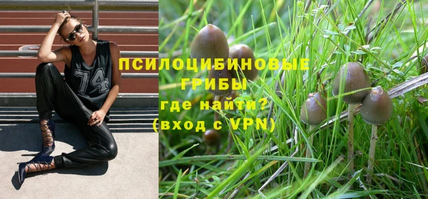 стафф Алзамай