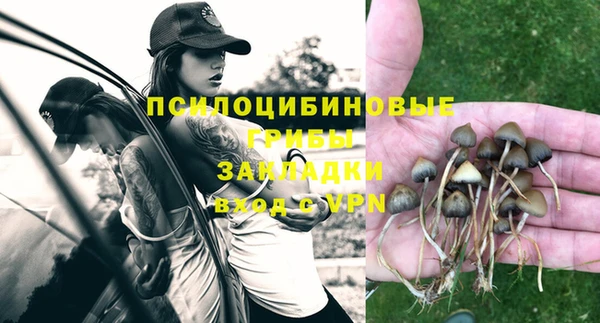 марихуана Абаза