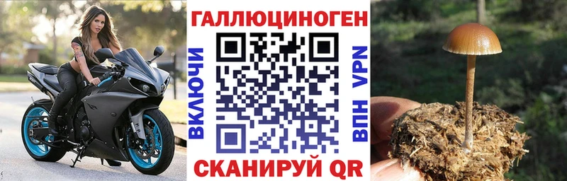 Псилоцибиновые грибы мицелий  Зеленокумск 