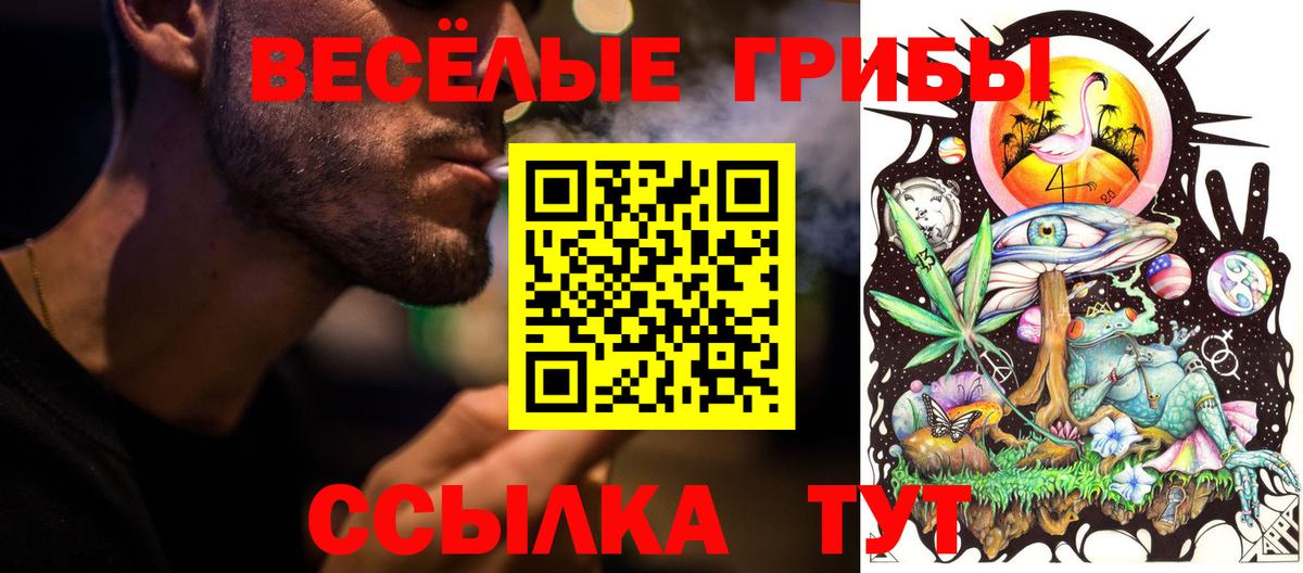 Зеленокумск  Галлюциногенные грибы мицелий  Вход с VPN  Псилоцибиновые грибы Cubensis 